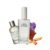 Inspirado en: SANTAL 33